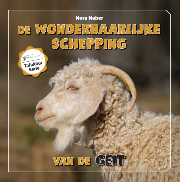 Uitgeverij Plataan